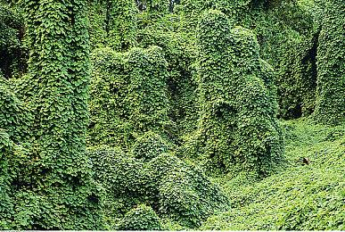 《怪物分解公司》Steam页面上线 打怪分解经营模拟